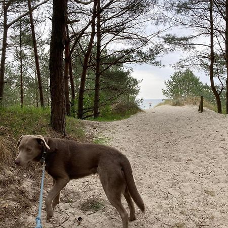 Reet Am Strand Mit Hund Karlshagen المظهر الخارجي الصورة