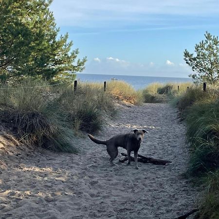 Reet Am Strand Mit Hund Karlshagen المظهر الخارجي الصورة