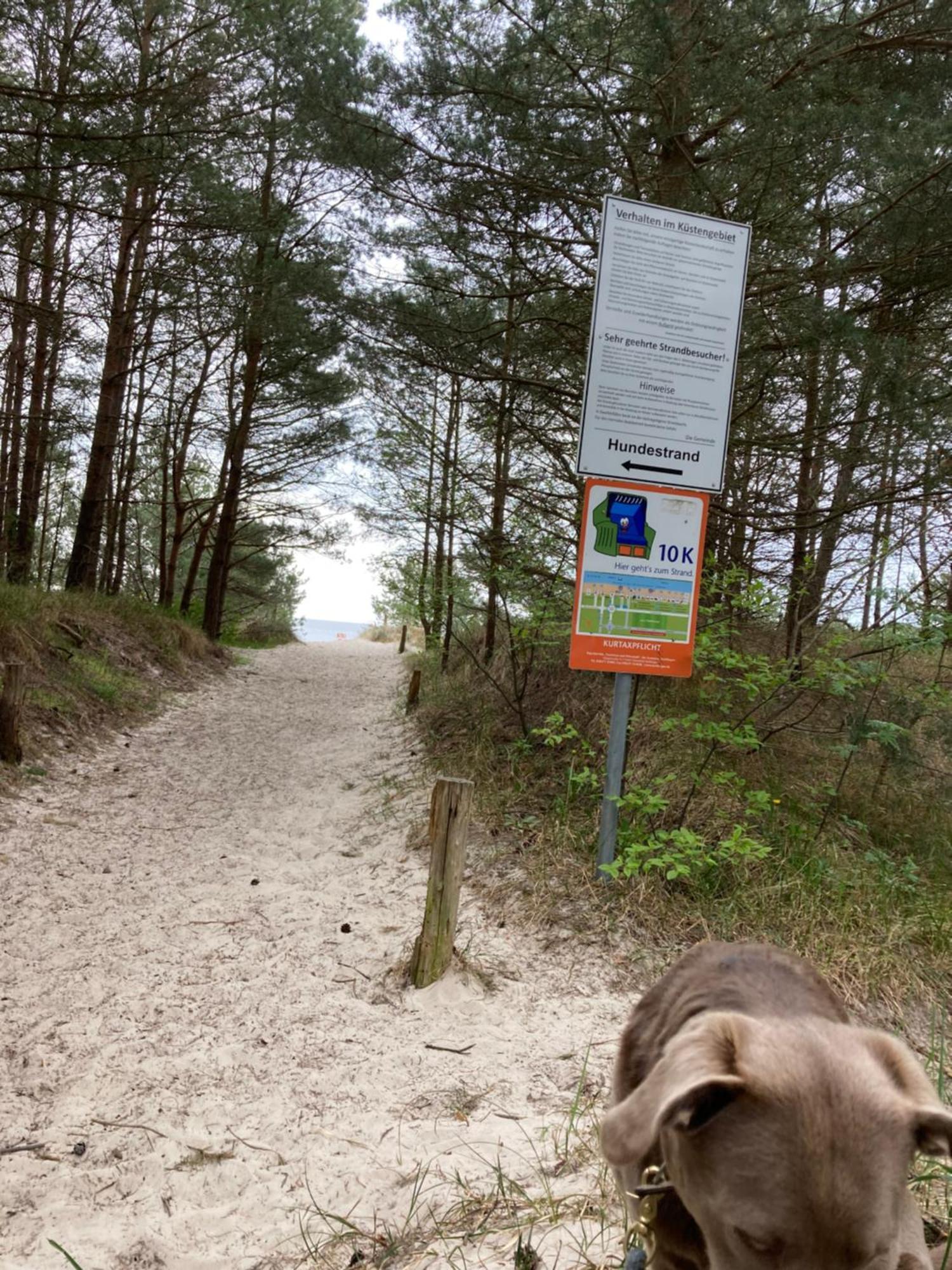 Reet Am Strand Mit Hund Karlshagen المظهر الخارجي الصورة