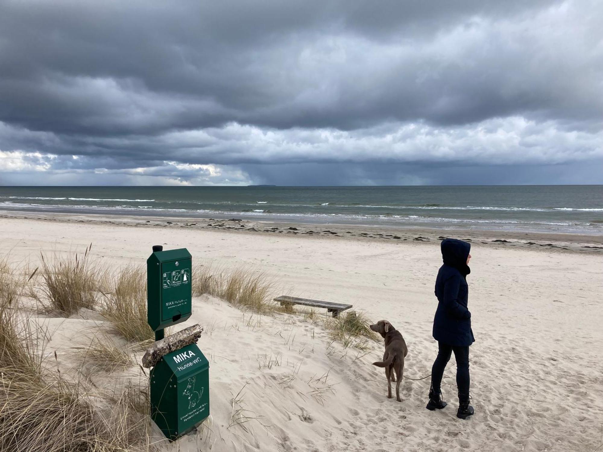 Reet Am Strand Mit Hund Karlshagen المظهر الخارجي الصورة